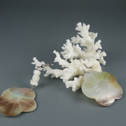 【SOLD OUT】白蝶貝と高瀬貝のピアス 4枚目の画像