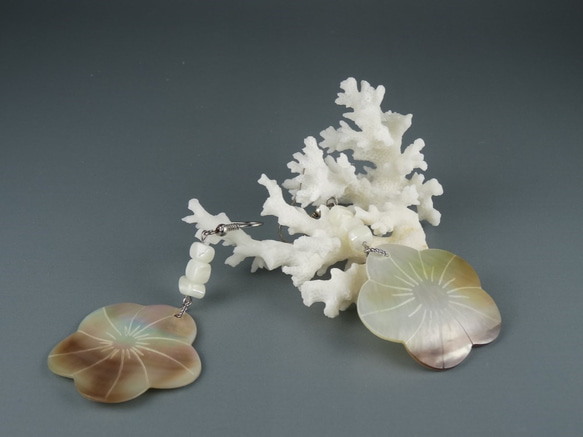 【SOLD OUT】白蝶貝と高瀬貝のピアス 4枚目の画像