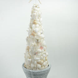 Christmas tree shell pot　(L) 4枚目の画像