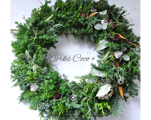 0_93126017bc381a5858e3938272e0