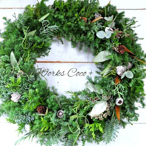 本物フレッシュリース でクリスマス リース Coco+ 通販 6575883