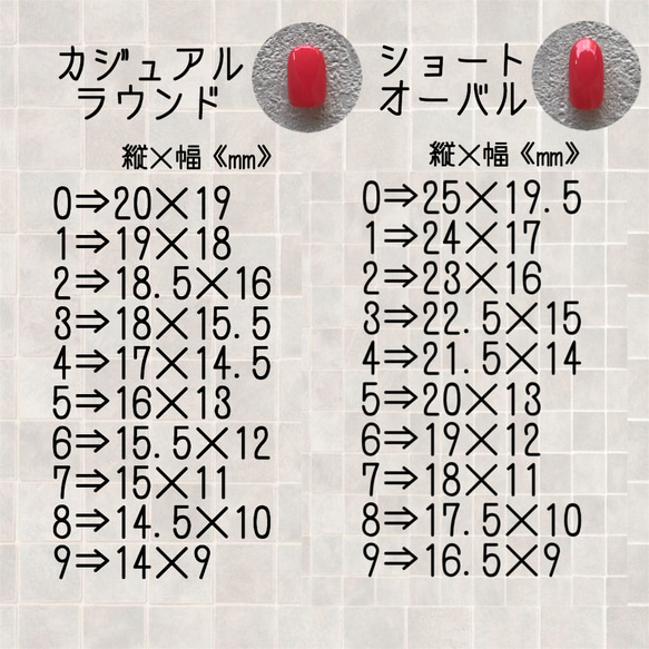 サイズ確認用チップ 3枚目の画像