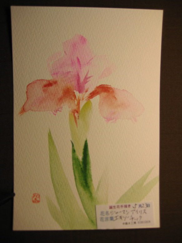 激安通販新作 366誕生日の花 5月23日 ジャーマンアイリス エキゾチックな人 絵画