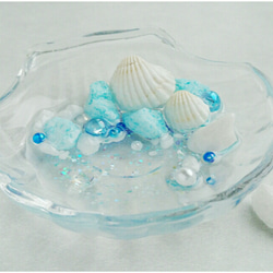 海の貝殻小物入れ フリーボックス・小物入れ Hotarubosi 通販 2393348