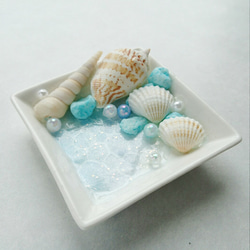 海の貝殻小物入れ 3枚目の画像