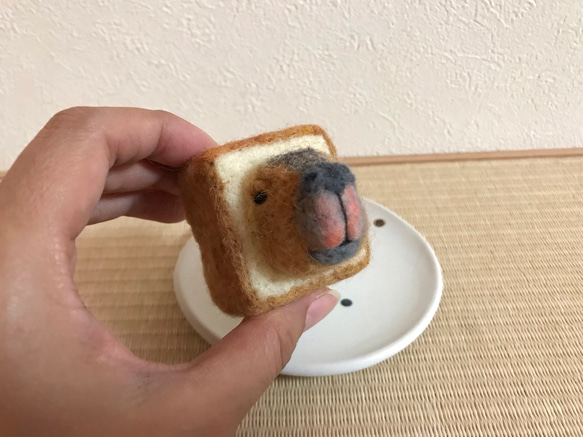 creema限定/カピバラ食パン 1枚目の画像