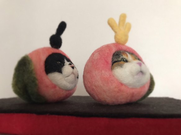 数量限定ハンドメイド2019/ひな祭り 桃猫の雛人形 4枚目の画像