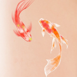 水彩画タトゥーシール☆泳ぐ鯉8匹セット　長持ち・こだわりの国産品 2枚目の画像