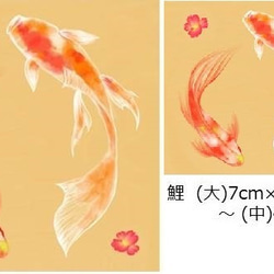 水彩画タトゥーシール☆泳ぐ鯉8匹セット　長持ち・こだわりの国産品 5枚目の画像