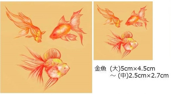 水彩画タトゥーシール☆金魚12匹セット 長持ち・こだわりの国産品 2枚目の画像