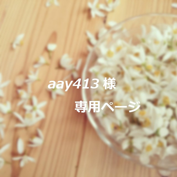 「aay413様」専用ページ 1枚目の画像