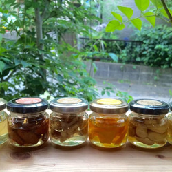 ミニ非加熱はちみつ１本とミニはちみつ漬け（ナッツ＆フルーツ）５本セット　4300円税別 1枚目の画像