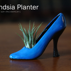 Tillandsia Planter 2（エアープランツのプランター） 2枚目の画像