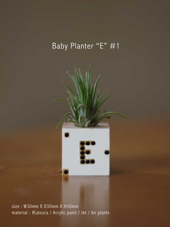 ベビープランター “ E ” 1枚目の画像