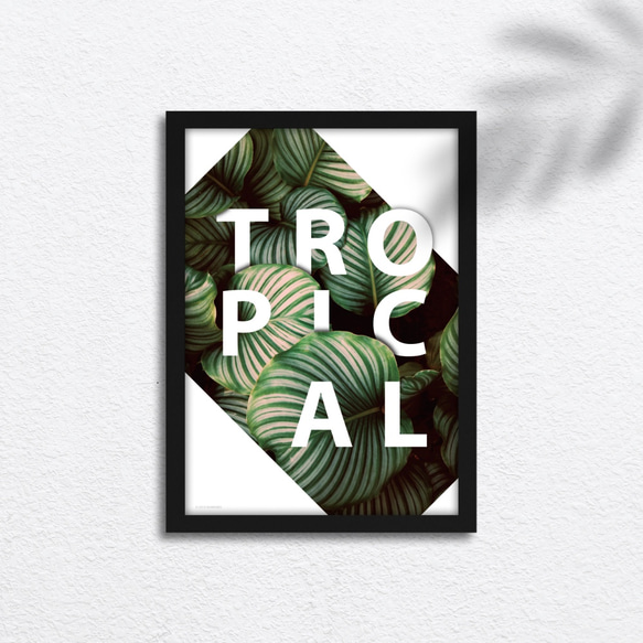 グラフィックアートポスター  A3サイズ  TROPICAL 1枚目の画像