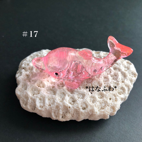 *ピンクイルカ  #17（気泡） 1枚目の画像