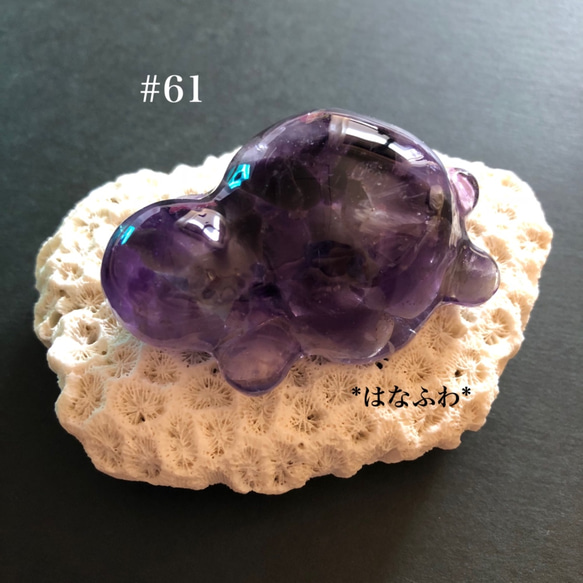 *紫亀  #61（アメジスト） 2枚目の画像