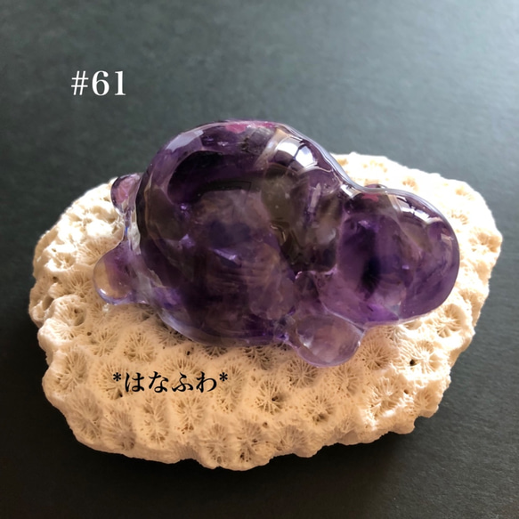 *紫亀  #61（アメジスト） 3枚目の画像
