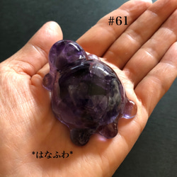 *紫亀  #61（アメジスト） 4枚目の画像