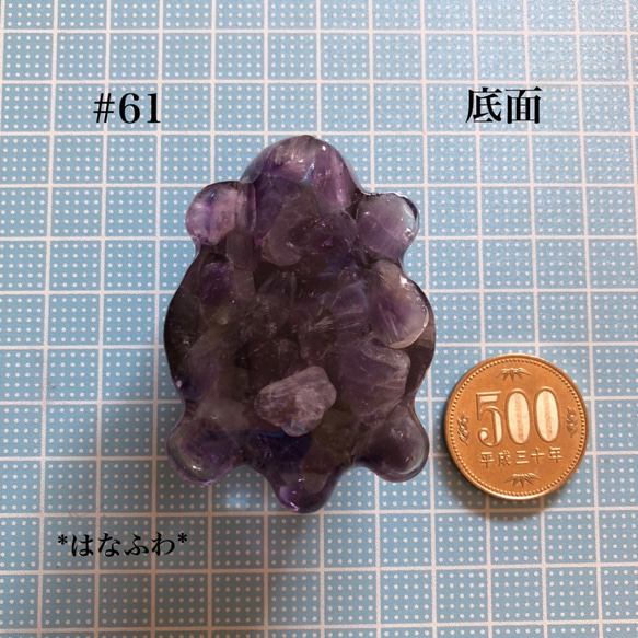 *紫亀  #61（アメジスト） 5枚目の画像