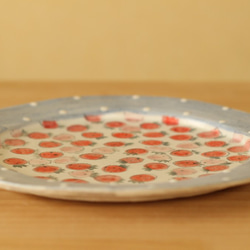 紅色和粉紅色的草莓菜25厘米直徑Konabiki藍色化妝品Dottorimu。 第3張的照片