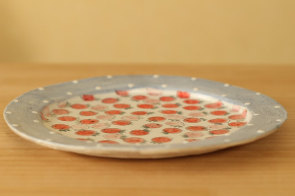 紅色和粉紅色的草莓菜25厘米直徑Konabiki藍色化妝品Dottorimu。 第3張的照片