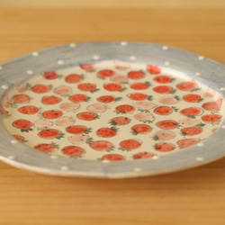 紅色和粉紅色的草莓菜25厘米直徑Konabiki藍色化妝品Dottorimu。 第4張的照片