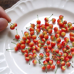 Drop cherry / 耳飾り 5枚目の画像