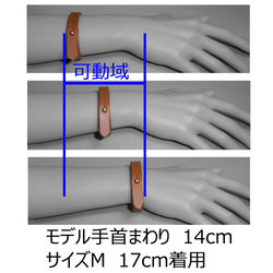  第10張的照片