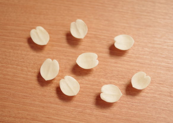 Antler Carving Petal - Stud Earrings 第6張的照片