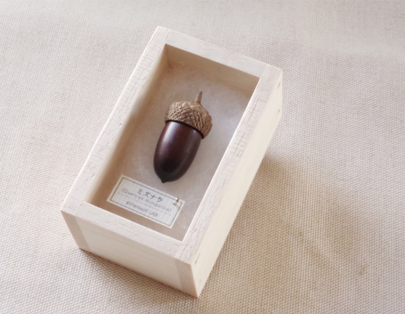 Acorns in Japan: MIZUNARA (aroma pendant) made-to-order 第5張的照片