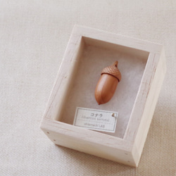 Acorns in Japan: KONARA (aroma pendant) made-to-order 第5張的照片