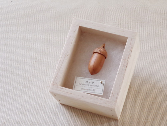 Acorns in Japan: KONARA (aroma pendant) made-to-order 第5張的照片