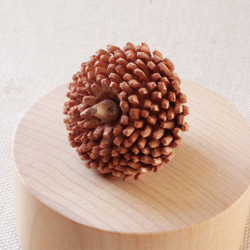 Acorns in Japan: KUNUGI (aroma pendant) made-to-order 第3張的照片