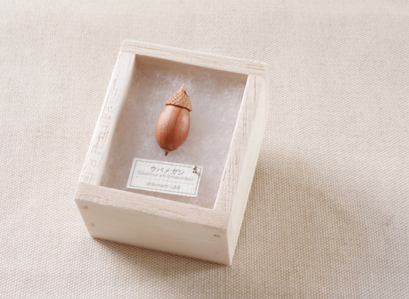 Acorns in Japan: UBAMEGASHI (aroma pendant) made-to-order 第8張的照片