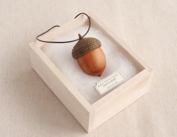 Acorns in Japan: OKINAWA URAJIROGASHI (aroma)made-to-order 第5張的照片