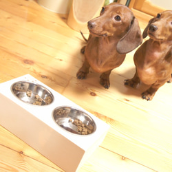 傾斜付き ペット用お食事台　小型犬用 3枚目の画像
