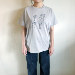 【 柴犬のTシャツ 】ライトグレー 5枚目の画像