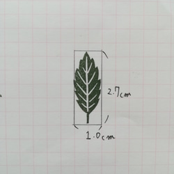  第6張的照片