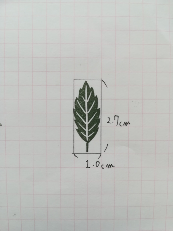  第6張的照片