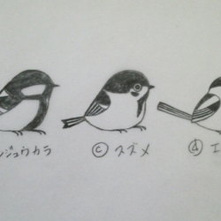 野鳥とカメラ/写真在中（文字変更可）/選べる小さな野鳥☆消しゴムはんこ 4枚目の画像