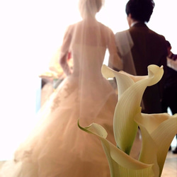 ウエディング　写真撮影　結婚式スタンダードプラン 2枚目の画像