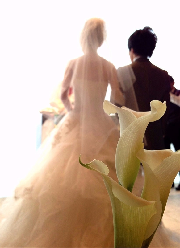ウエディング　写真撮影　結婚式スタンダードプラン 2枚目の画像