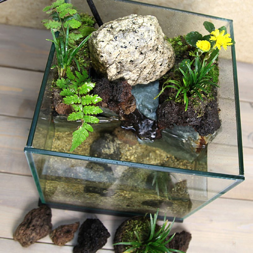 せせらぎ と 水中 湧水 のある 20cmキューブ水槽 苔リウム