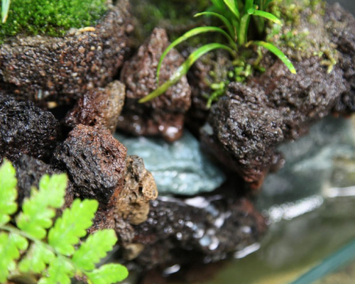 ⭐️天然⭐️ ￼ 1品物⭐️ 流木　水槽　アクアリウム　テラリウム　約80cm 7_88cb664ebd3a3a28ddb86a8cbb2b