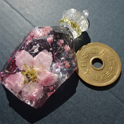 本物桜入り　バッグチャーム　キーホルダー 3枚目の画像