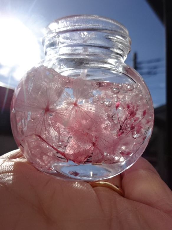 桜イメージ　ハーバリウム　ミニ丸系  香り付き 3枚目の画像