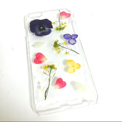 パンジー押し花ケース/iPhoneケース 2枚目の画像