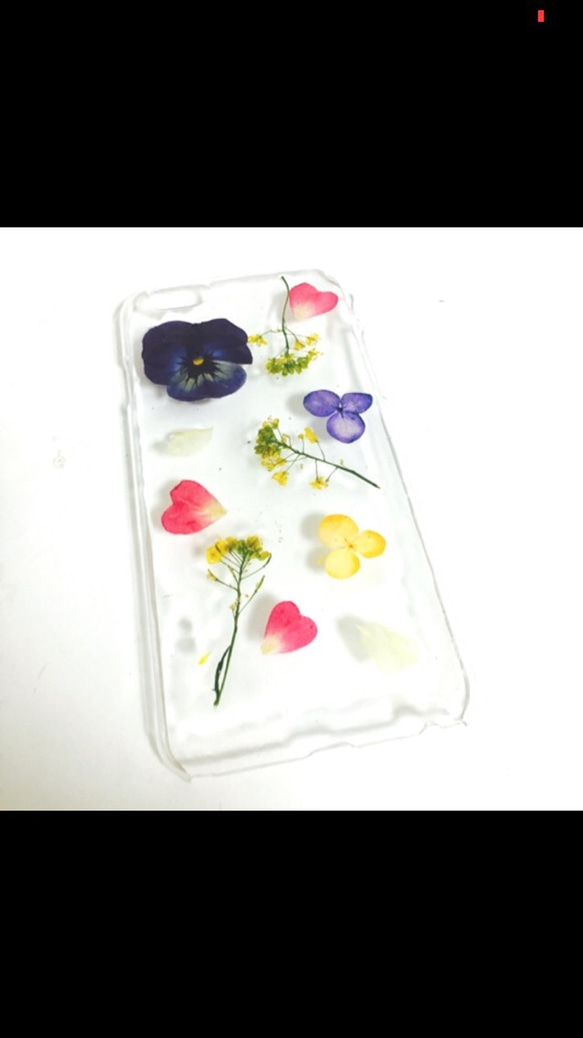 パンジー押し花ケース/iPhoneケース 2枚目の画像