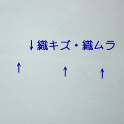 （B-1-2倍サイズ）正絹　胴裏　手染め10枚　10色　はぎれセット　パステルカラー　つまみ細工用布・吊るし飾りに 6枚目の画像